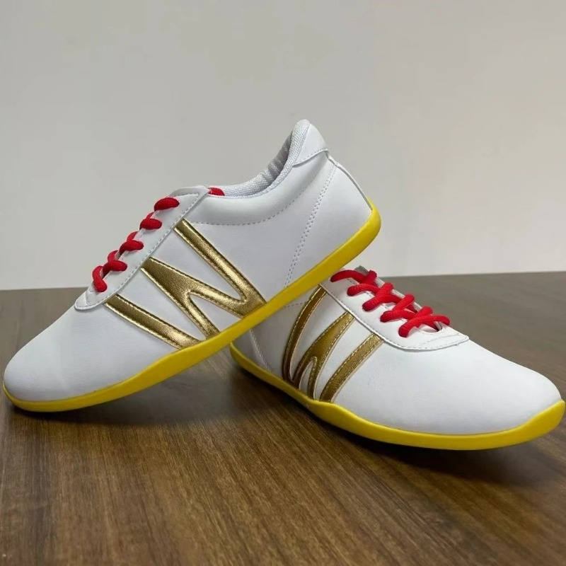 Zapatos profesionales de artes - Women'S Shoes Vs Men'S reseña y precio