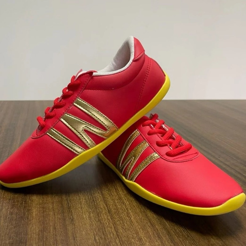 Zapatos profesionales de artes - Women'S Shoes Vs Men'S reseña y precio